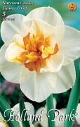  Narcissus Double Flower Drift nrcisz virghagymk 2'