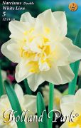  Narcissus Double White Lion nrcisz virghagymk 2'