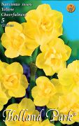  Narcissus Double Yellow Cheerfulness nrcisz virghagymk 2'