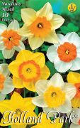 Narcissus Mixed vegyes nrcisz virghagymk 1'