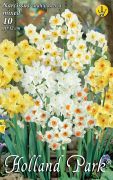  Narcissus Multiflowered mixed vegyes nrcisz virghagymk 1'