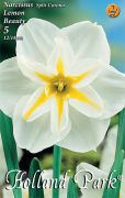  Narcissus Split Corona Lemon Beauty nrcisz virghagymk 2'