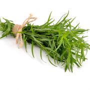  Trkony palnta (Artemisia pfefferkorn) 12 cm-es cserpben