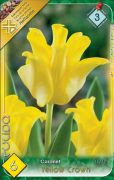  Tulipa Coronet Yellow Crown tulipn virghagymk 2'