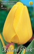 Tulipa Darwin Hybrid Golden Apeldoorn Darwin hibrid tulipn virghagymk 2'