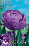  Tulipa Double Late Blue Diamond teltvirg tulipn virghagymk 3'