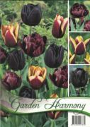  Tulipa Garden Harmony tulipn virghagymk 3x6 (fekete)