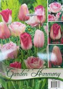  Tulipa Garden Harmony tulipn virghagymk 3x6 (rzsaszn)