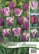  Tulipa Garden Harmony tulipn virghagymk 3x6 (lila)