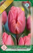  Tulipa Triumph Pretty Princess tulipn virghagymk 2'